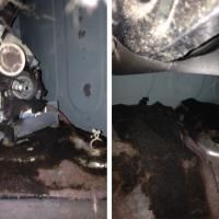 Burnt lint inside a dryer. Lint is highly flammable and it's possible you've had a dryer fire without even knowing it.