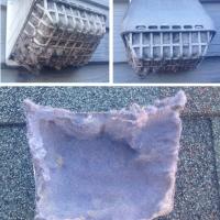 Exterior dryer vent completely blocked with lint.